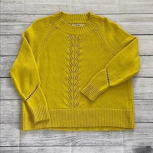 NWT Loft Sweater